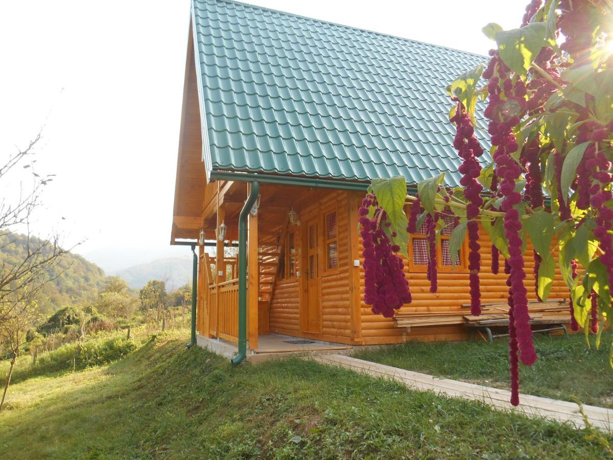 Motel Bavaria Φότσα Εξωτερικό φωτογραφία