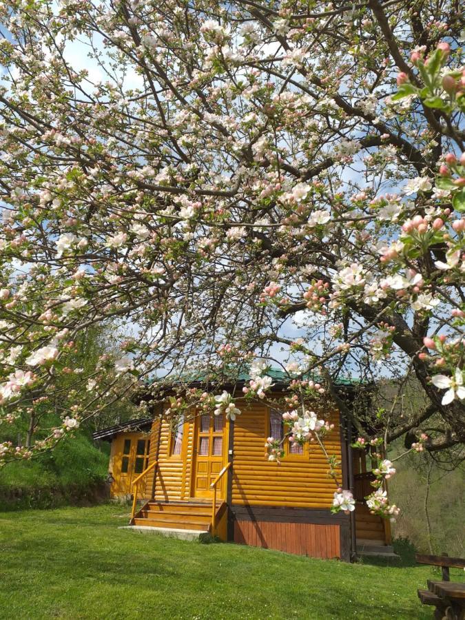 Motel Bavaria Φότσα Εξωτερικό φωτογραφία